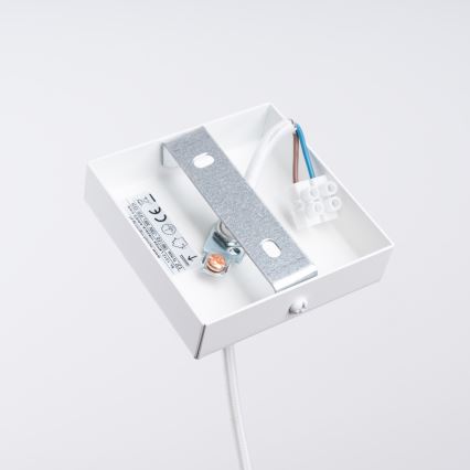 Luster na lanku ARIES 1xE27/15W/230V buk/biela