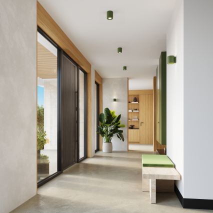 Nástenné bodové svietidlo ORBIS 1xG9/8W/230V betón/zelená