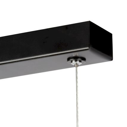 LED Stmievateľný luster na lanku LUCAS LED/25,5W/230V borovica