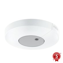 STEINEL 033651 - Súmrakový spínač Light Sensor Dual KNX biela