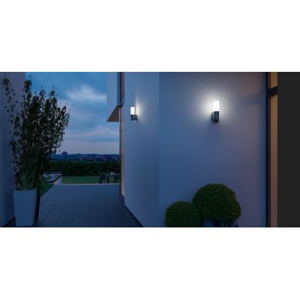 Steinel 065287 - LED Vonkajšie svietidlo so senzorom L 605 LED/9,5W/230V IP44 antracit