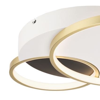 Stmievateľné stropné svietidlo BENITO LED/31W/230V 3000-6500K biela/zlatá