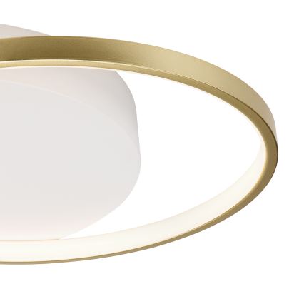 Stmievateľné stropné svietidlo BENITO LED/31W/230V 3000-6500K biela/zlatá