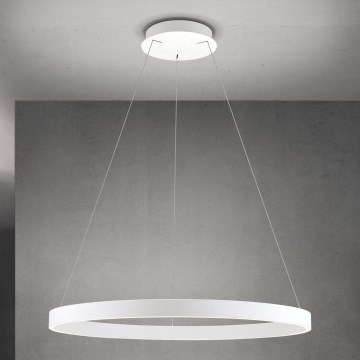 Stmievateľný LED závesný luster na lane KOLK LED/80W/230V 2700/3000/4000K pr. 80 cm biela
