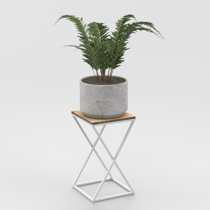 Papraď v sivom kvetináči stojí na bielom stolíku s drevenou doskou. Stolík má prekrížené nohy v tvare X. Celá scéna je na bielom pozadí.