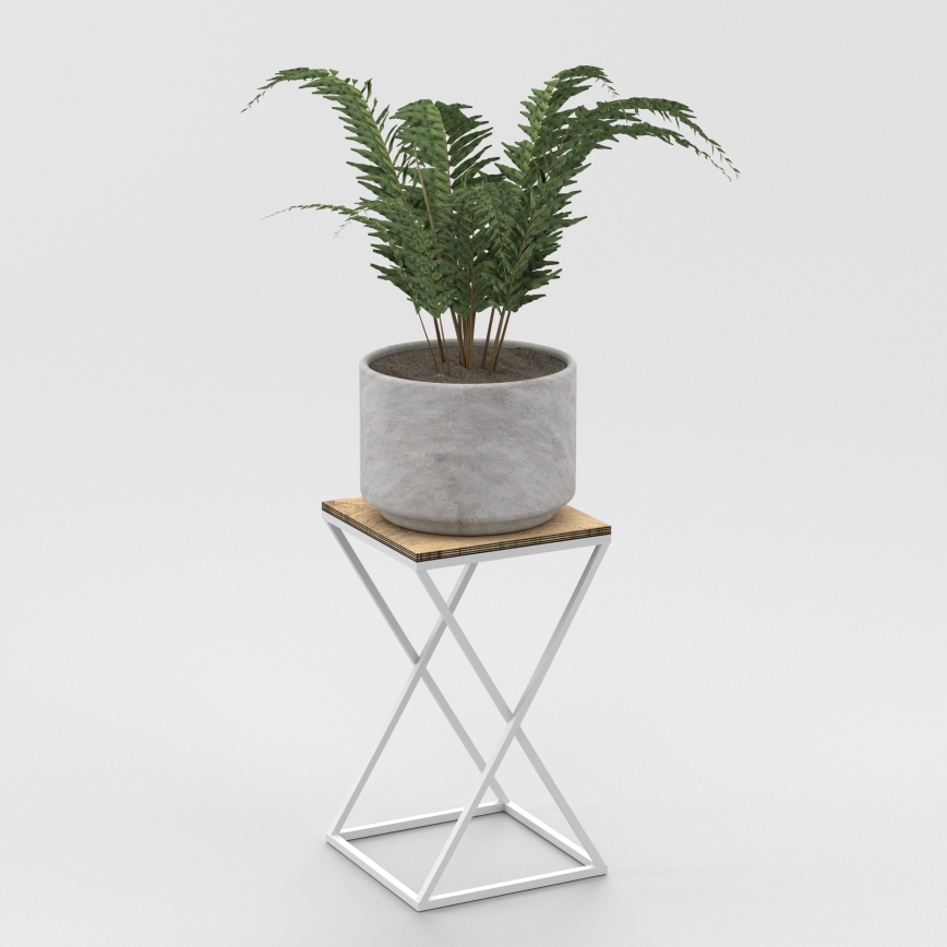 Papraď v sivom kvetináči stojí na bielom stolíku s drevenou doskou. Stolík má prekrížené nohy v tvare X. Celá scéna je na bielom pozadí.