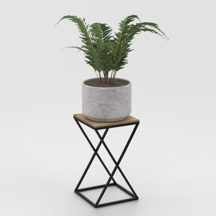 Papraď v sivom kvetináči stojí na nízkom štvorcovom stolíku s prekríženými kovovými nohami a drevenou doskou. Stolík je na svetlom pozadí.