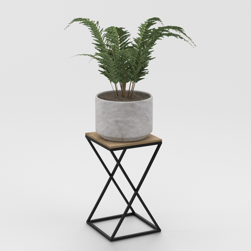 Papraď v sivom kvetináči stojí na nízkom štvorcovom stolíku s prekríženými kovovými nohami a drevenou doskou. Stolík je na svetlom pozadí.