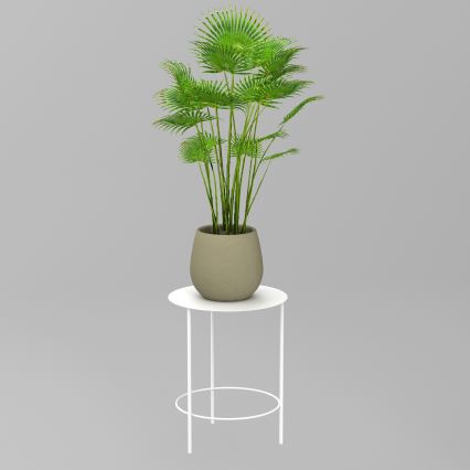 Kvetináč s izbovou rastlinou typu palma stojí na bielom kovovom stolíku. Stolík má jednoduchý dizajn s okrúhlou doskou a jednou priečkou. Svetlosivý pozadie.