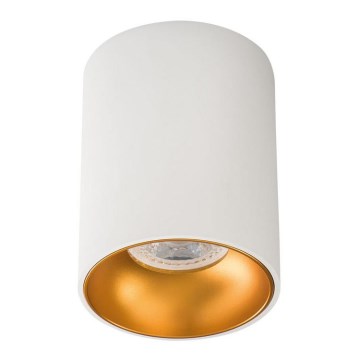 Stropné bodové svietidlo RITI GU10/25W/230V