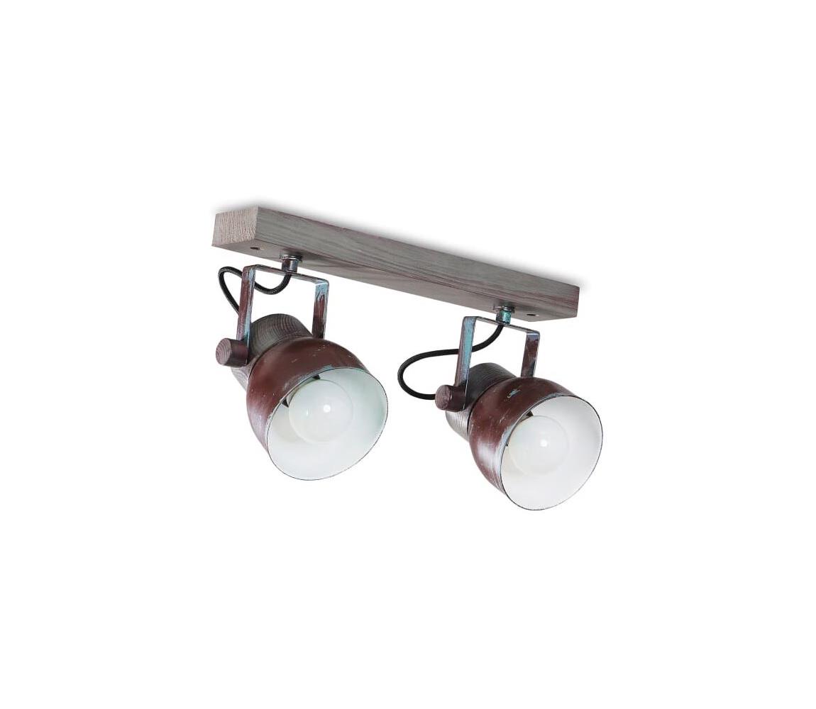 Stropné bodové svietidlo VIANA 2xE27/60W/230V