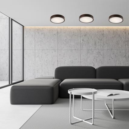 Stropné svietidlo 2xE27/60W/230V borovica