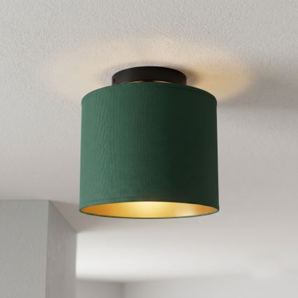 Stropné svietidlo ARDEN 1xE27/15W/230V pr. 18 cm zelené