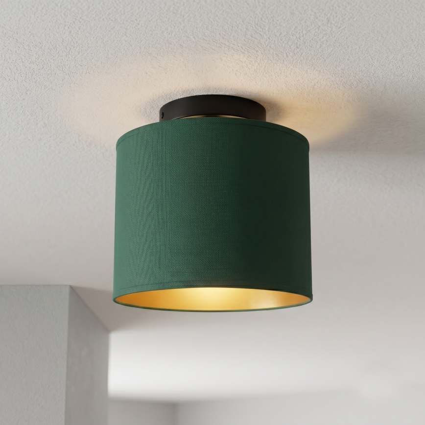 Stropné svietidlo ARDEN 1xE27/15W/230V pr. 18 cm zelené