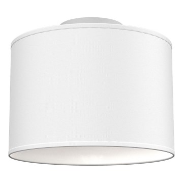 Stropné svietidlo ARDEN 1xE27/15W/230V priemer 25 cm biele