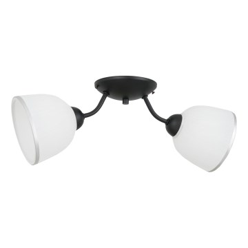 Stropné svietidlo AVIA 2xE27/60W/230V