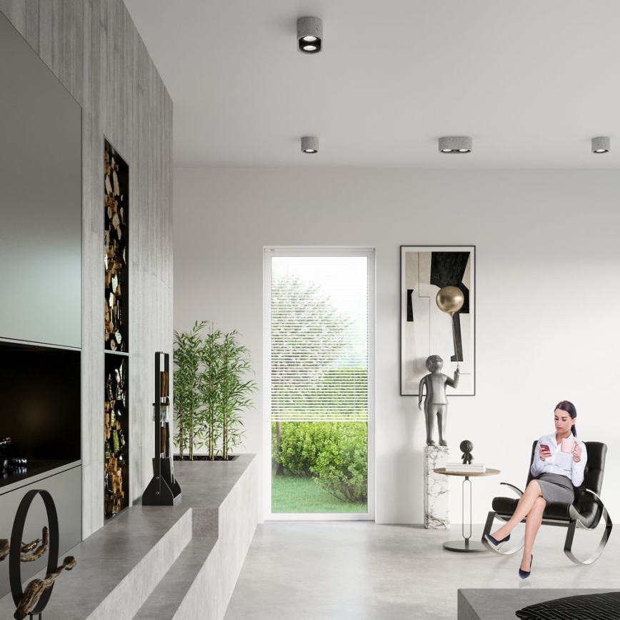 Stropné svietidlo BASIC AR111 2xGU10/40W/230V betón