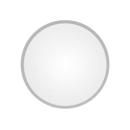 Biely kruh s šedým okrajom je zobrazený na bielom pozadí.