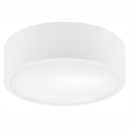 Stropné svietidlo DANTE 1xE27/60W/230V pr. 26 cm biela