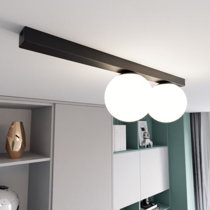 Stropné svietidlo FIT 2xE14/10W/230V čierna/biela