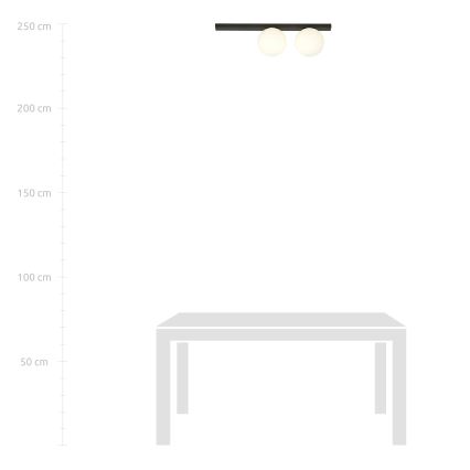 Stropné svietidlo FIT 2xE14/10W/230V čierna/biela