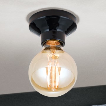 Stropné svietidlo FROST 1xE27/60W/230V čierne