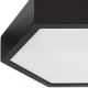 Stropné svietidlo HEX 2xE27/60W/230V pr. 43 cm borovica čierna