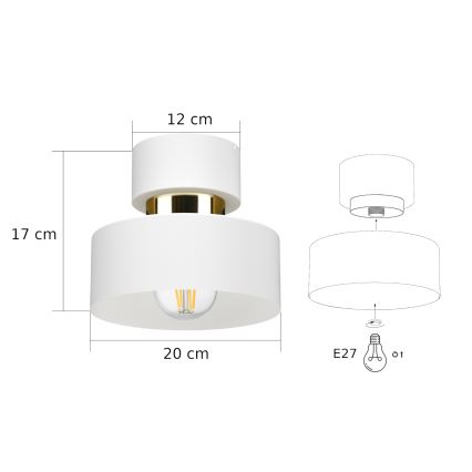 Stropné svietidlo IGNIA 1xE27/60W/230V biele