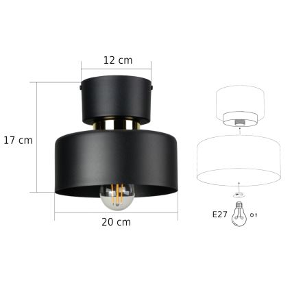 Stropné svietidlo IGNIA 1xE27/60W/230V čierna