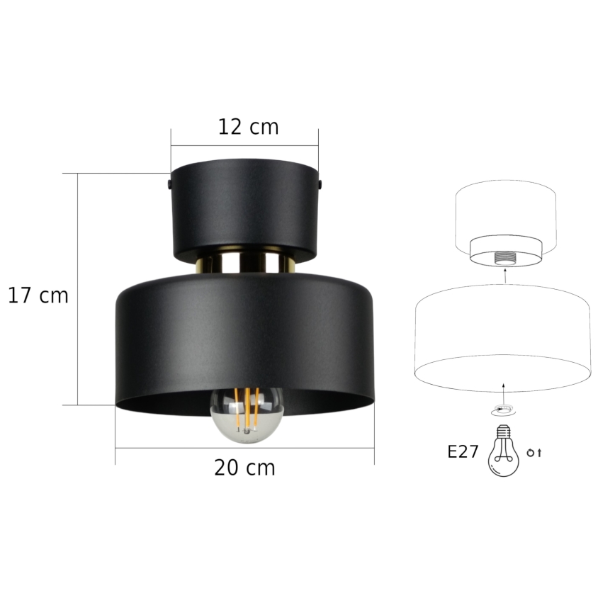 Stropné svietidlo IGNIA 1xE27/60W/230V čierna