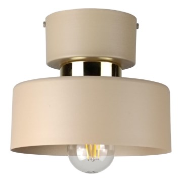 Stropné svietidlo IGNIA 1xE27/60W/230V taupe