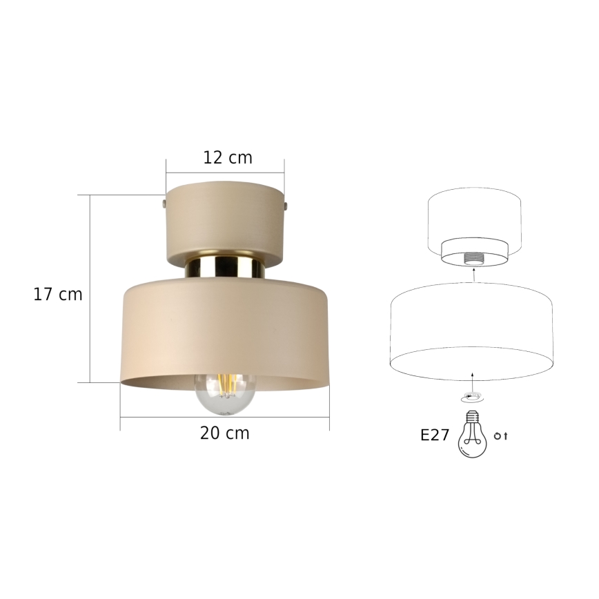 Stropné svietidlo IGNIA 1xE27/60W/230V taupe