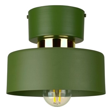 Stropné svietidlo IGNIA 1xE27/60W/230V zelené