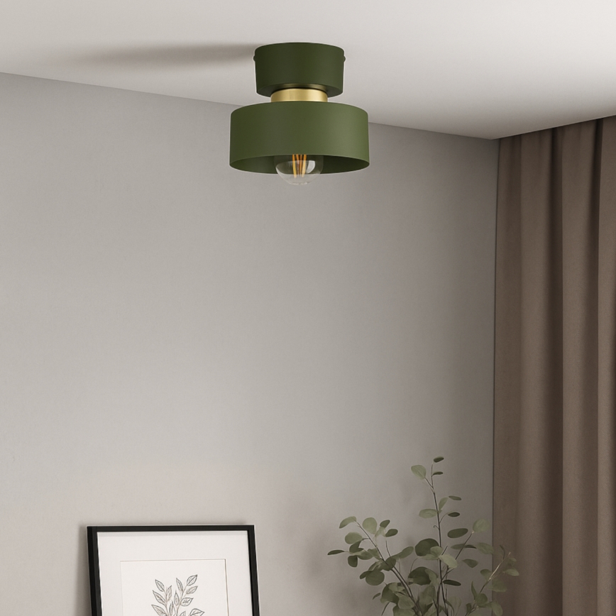 Stropné svietidlo IGNIA 1xE27/60W/230V zelené