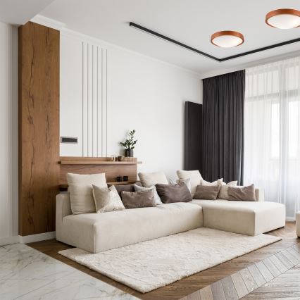 Stropné svietidlo MEDA 2xE27/60W/230V borovica