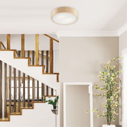 Svietidlo s dreveným rámom je pripevnené k stropu. Nachádza sa v chodbe s dreveným schodiskom a vysokou rastlinou v kvetináči.