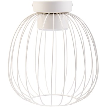 Stropné svietidlo OVELLA 1xGX53/10W/230V pr. 25 cm krémové