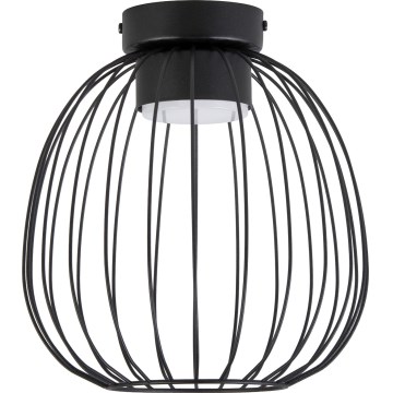 Stropné svietidlo OVELLA 1xGX53/10W/230V, priemer 25 cm, čierne