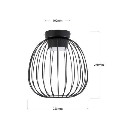 Stropné svietidlo OVELLA 1xGX53/10W/230V, priemer 25 cm, čierne