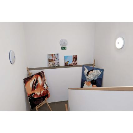 Stropné svietidlo s pohybovým a súmrakovým senzorom 2xE27/40W/230V pr. 30 cm biela