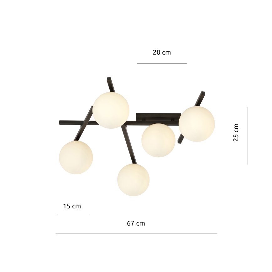 Stropné svietidlo SMART 5xE14/10W/230V čierna/biela