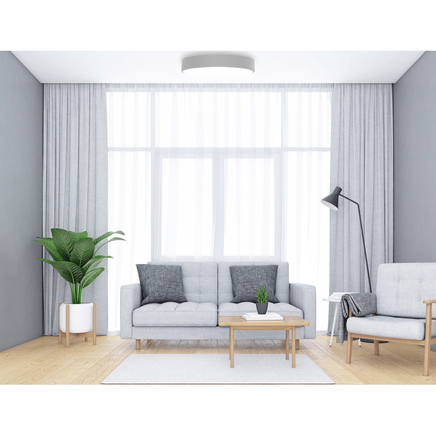 Svetlo sivá stropná lampa svieti v obývacej izbe. Sedačka a kreslo sú svetlo šedé, doplnené tmavosivými vankúšmi. Izba má drevenú podlahu, svetlé závesy a veľké okno.