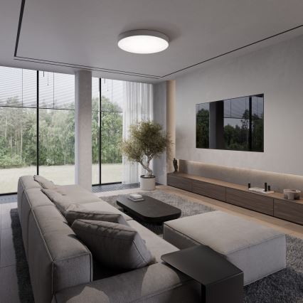 Rohová sedačka s vankúšmi stojí v modernom obývacom priestore s veľkými oknami a výhľadom na zeleň. Pred sedačkou je nízky konferenčný stolík. Na stene je umiestnená televízia nad drevenou zostavou. V priestore je tiež olivovník v kvetináči.