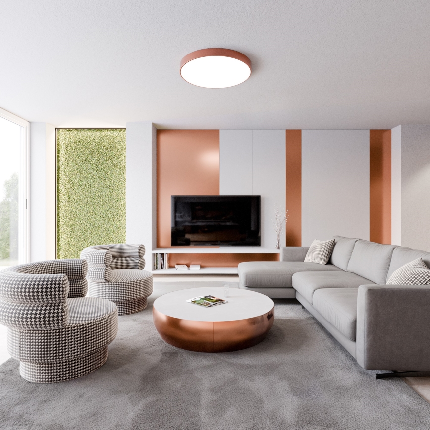 Dve čierno-biele kreslá stoja v obývacej izbe s rozkladacou sedačkou a medi-farebným konferenčným stolíkom. Stena je čiastočne hnedo-medená.