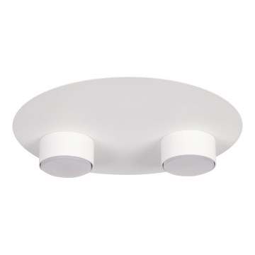 Stropné svietidlo STAR 2xGX53/12W/230V biela