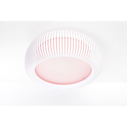 Stropné svietidlo STRIPES 2xE27/40W/230V priemer 55 cm biela/ružová