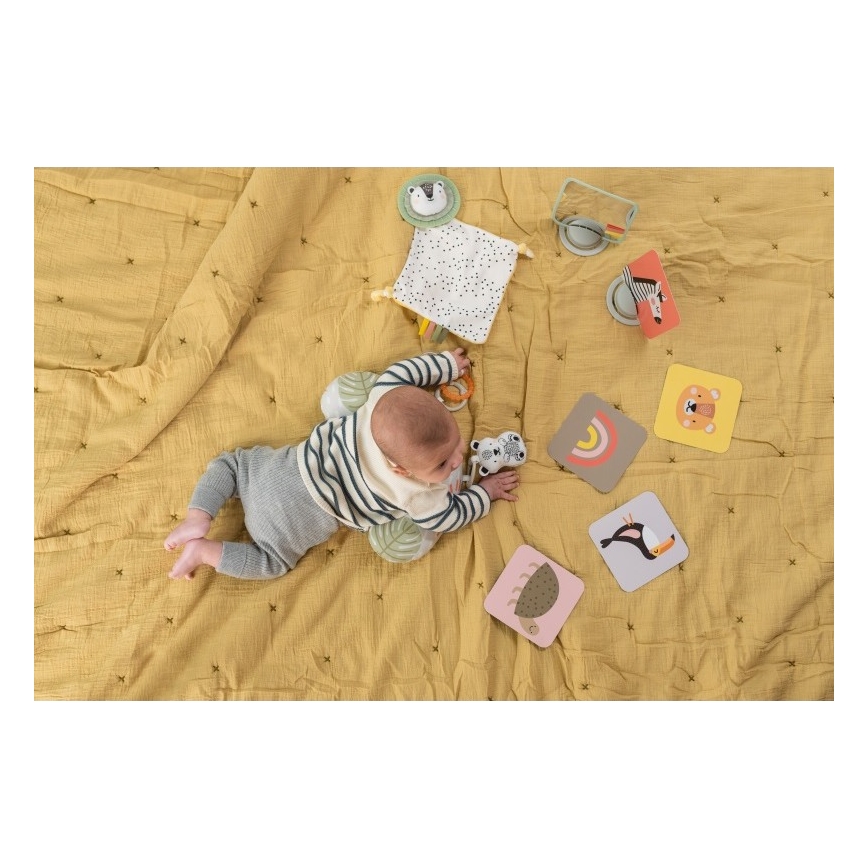 Taf Toys - Darčekový box HELLO BABY