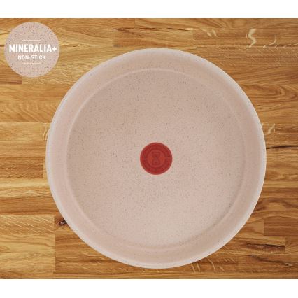 Tefal - 17-dielna sada riadu INGENIO DELIGHT