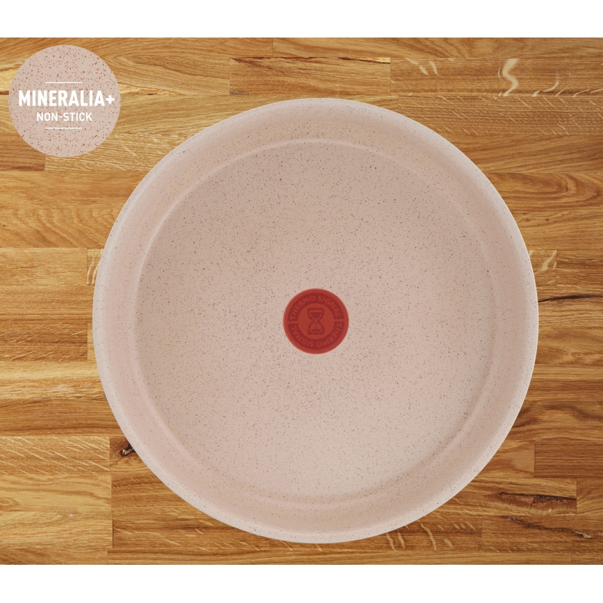 Tefal - 17-dielna sada riadu INGENIO DELIGHT