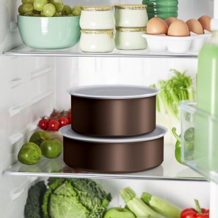 Tefal - 4-dielna sada riadu INGENIO XL FORCE